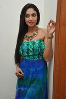 Angana Roy Gallery
